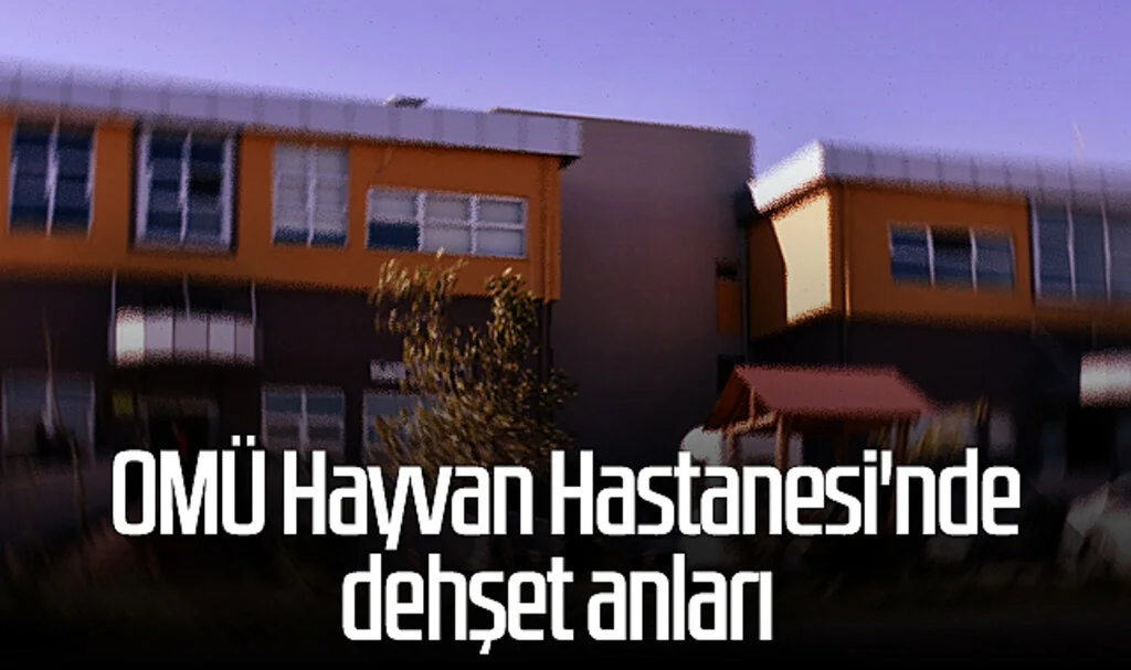 OMÜ Hayvan Hastanesi'nde dehşet anları 