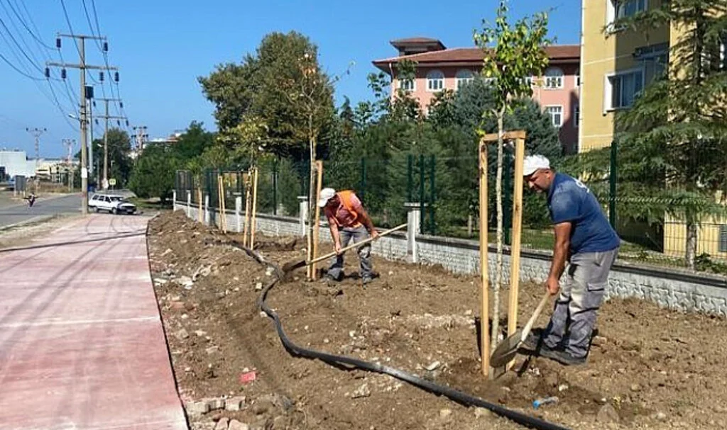 Samsun Canik’te Parklar Ağaçlandırılıyor