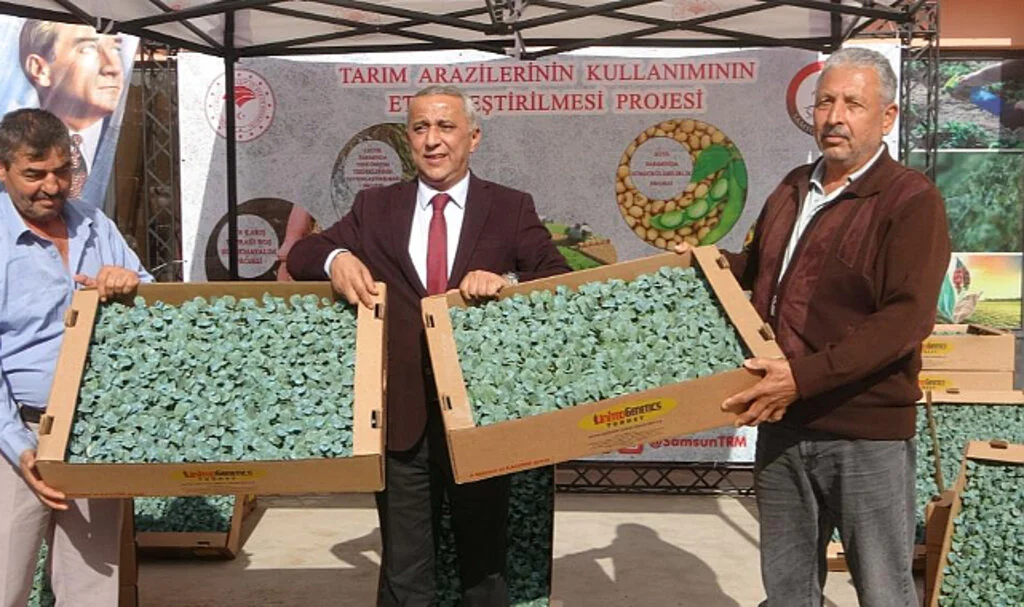 Samsun'da 34 üreticiye 650 bin brokoli fidesi dağıtıldı