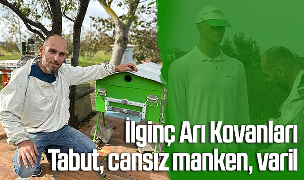 Samsun’da İlginç Arı Kovanları: Tabut, cansız manken, varil