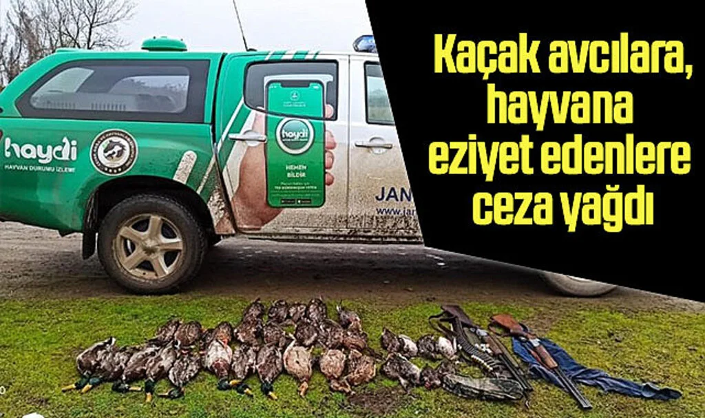 Samsun’da kaçak avcılara ve hayvana eziyet edenlere ceza yağdı