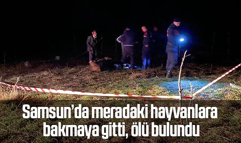 Samsun'da Meradaki hayvanlarına bakmaya giden adam ölü bulundu