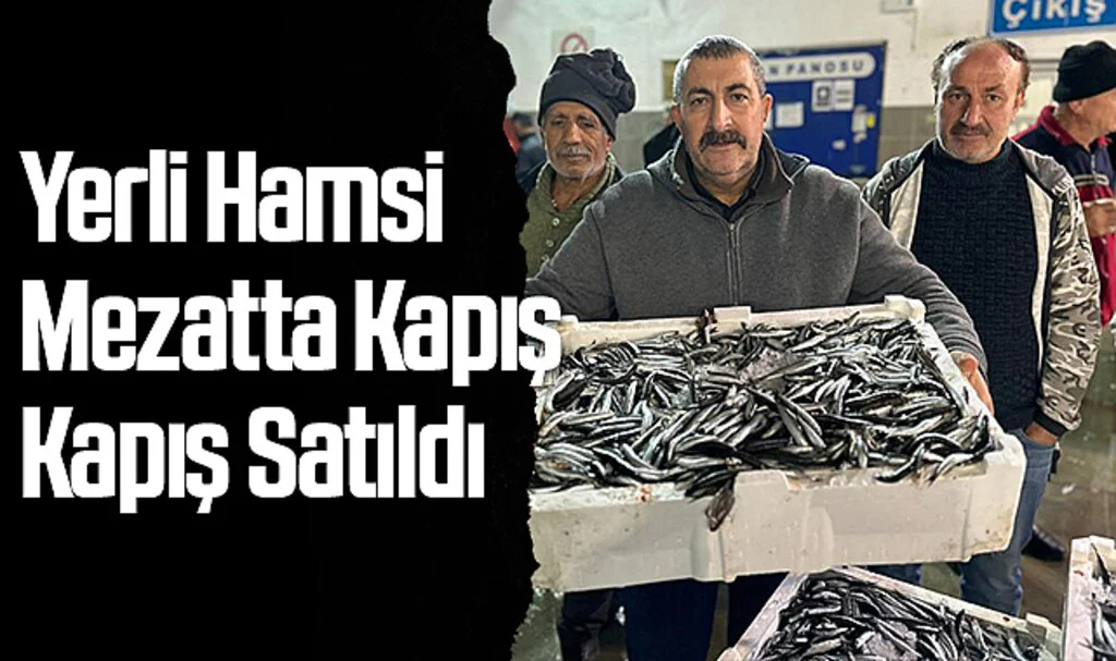 Samsun'da Yerli Hamsi Mezatta Kapış Kapış Satıldı