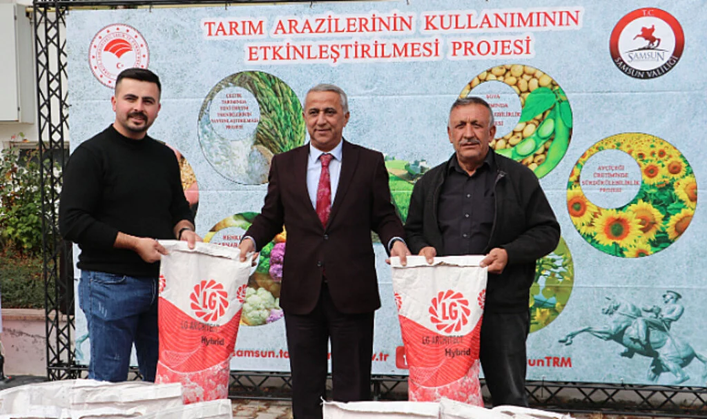Samsun Havzalı Çiftçilere 'Kanola' Tohumu