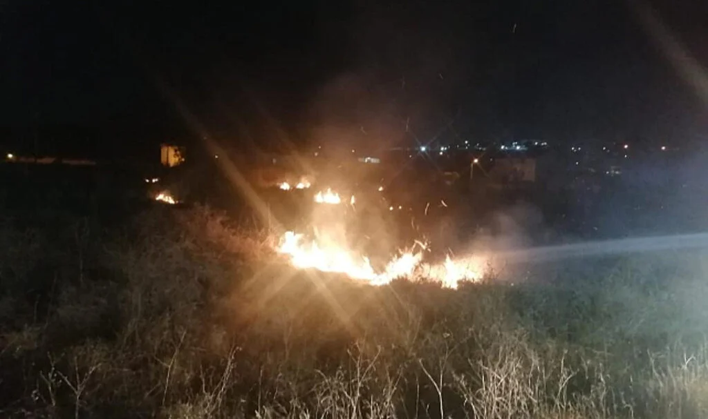 Samsun Kavak'ta anız yangını