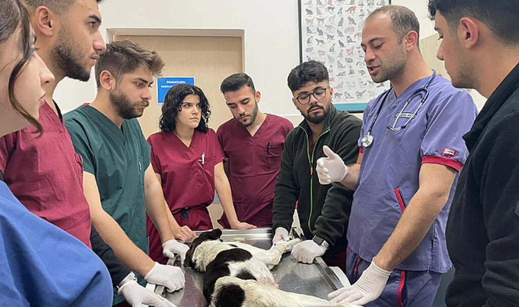Samsun OMÜ Hayvan Hastanesi Karadeniz Bölgesi'ne hizmet veriyor