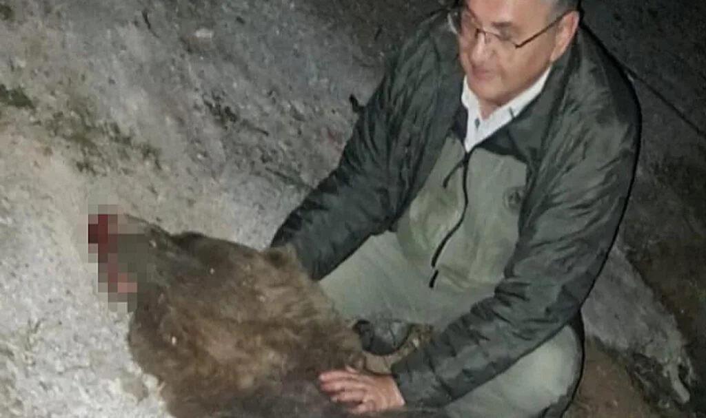 Tır çarpması sonucu ölen ayıya sarılıp, öptü
