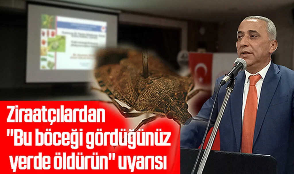 Ziraatçılardan "Bu böceği gördüğünüz yerde öldürün" uyarısı