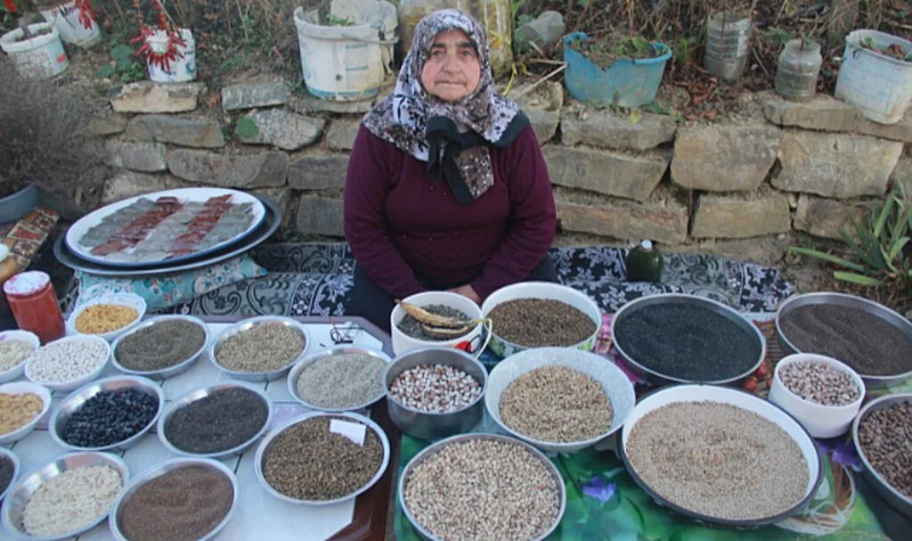 Ata mirası tohumları gelecek nesillere aktarmak için çaba gösteriyor