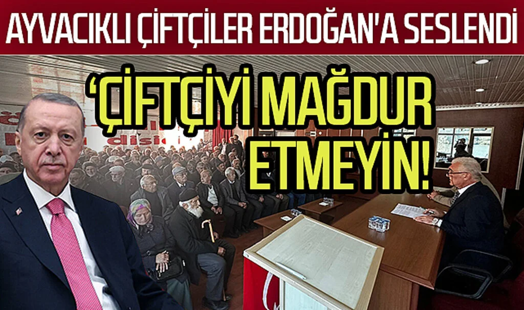 Ayvacıklı çiftçiler  Erdoğan'a seslendi: 'Çiftçiyi mağdur etmeyin! 