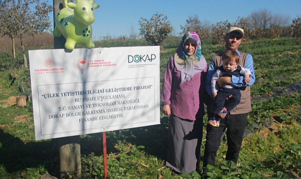 Çiftçi aile aldıkları hibeyle çilek üreterek ürün çeşitliliğini artırdı