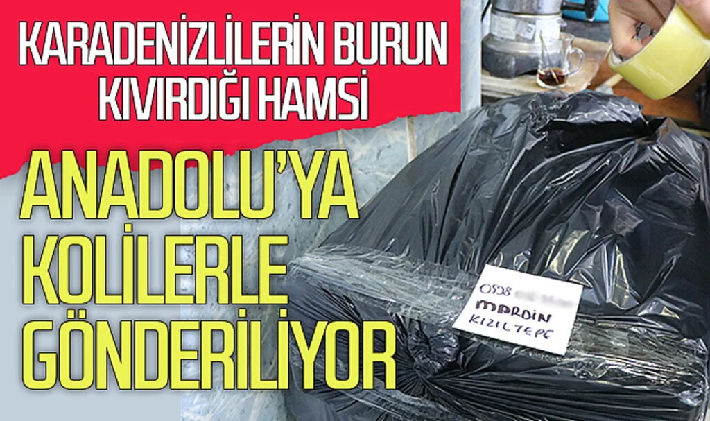 Karadenizlilerin burun kıvırdığı hamsi  Anadolu’ya kolilerle gönderiliyor