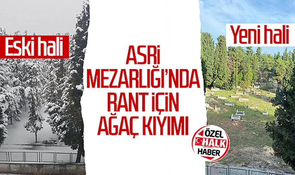 Samsun Asri Mezarlığı'nda rant için ağaç kıyımı