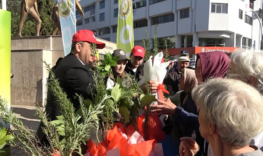 Samsun Bafra'da 40 bin fidan dağıtıldı