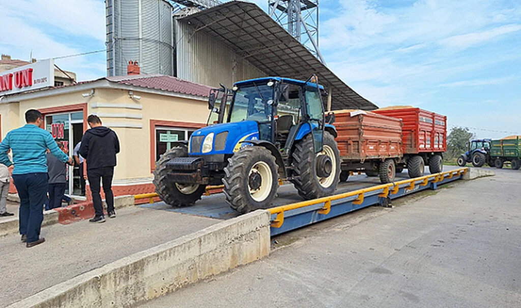 Samsun Bafra'da TMO çeltik alımına başladı