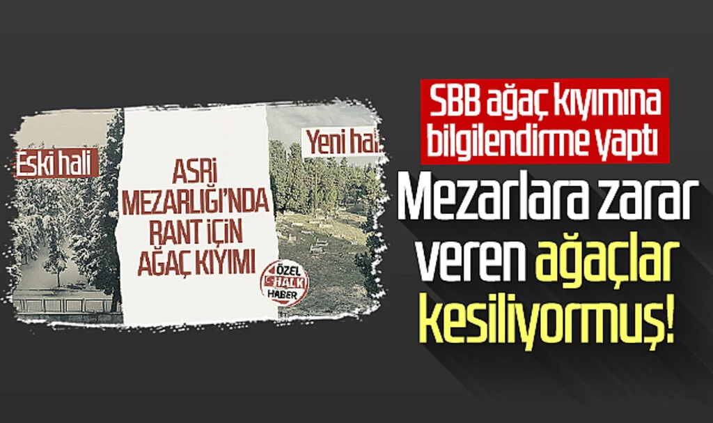 Samsun Büyükşehir Belediyesi ağaç kıyımına bilgilendirme yaptı! Mezarlara zarar veren ağaçlar kesiliyormuş!