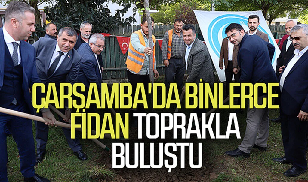 Samsun Çarşamba'da binlerce  fidan toprakla buluştu