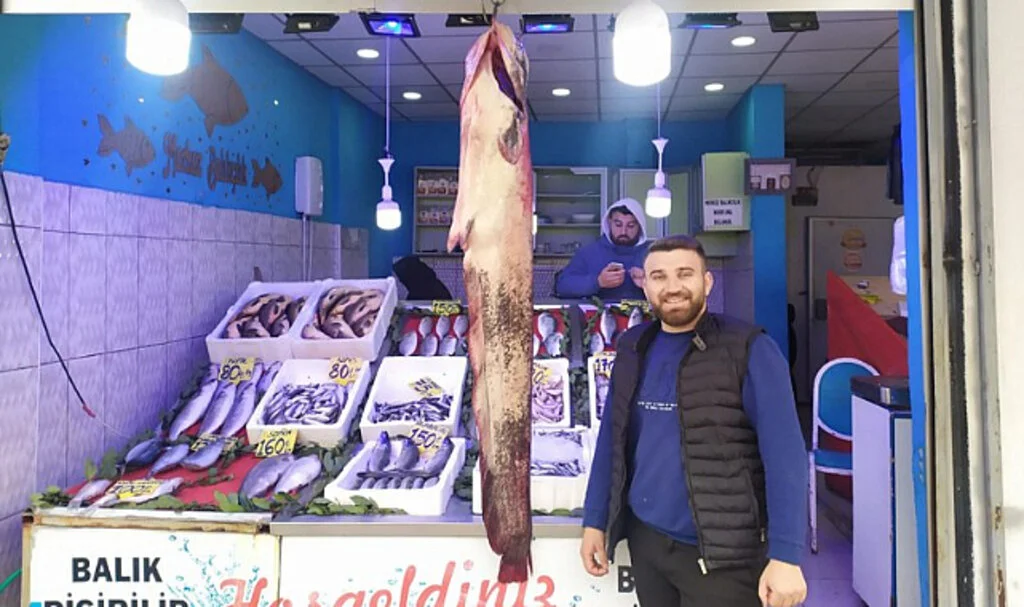 Samsun'da 33 kilogramlık yayın balığı yakalandı