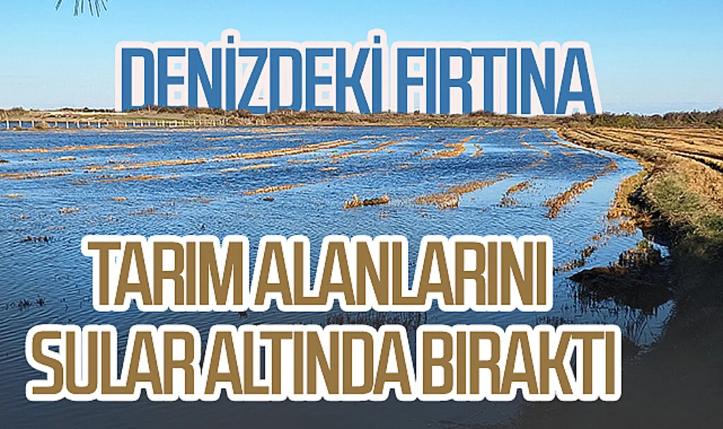 Samsun'da denizdeki fırtına tarım alanlarını sular altında bıraktı
