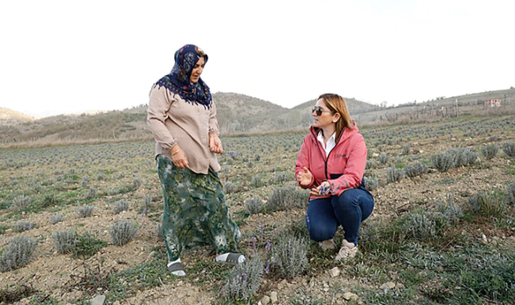 Samsun'da işlerini bırakan iki kardeş baba topraklarında tıbbi aromatik bitki yetiştiriyor