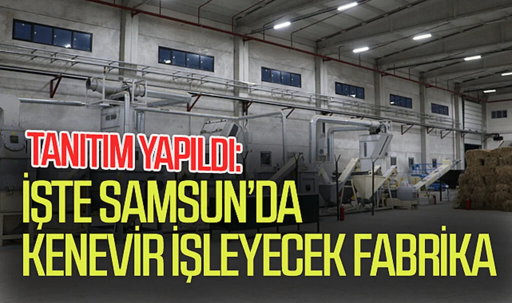 Samsun’da kenevir işleyecek fabrika tanıtıldı