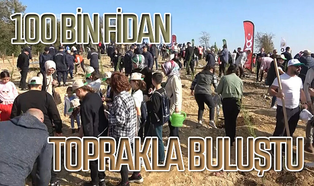 Samsun’da Milli Ağaçlandırma Günü: 100 bin fidan toprakla buluştu