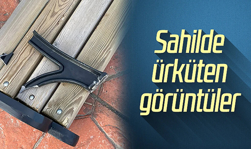 Samsun sahilinde ürküten görüntüler... Bankları parçaladılar!