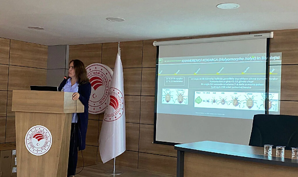 Samsun'un 19 Mayıs ilçesinde kahverengi kokarca böceğine karşı bilgilendirme toplantısı yapıldı