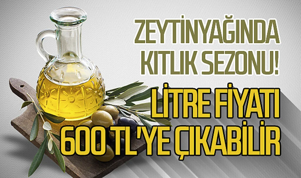 Zeytinyağında kıtlık sezonu! Litre fiyatı 600 TL'ye çıkabilir