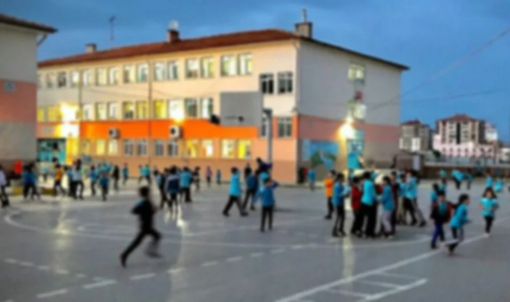 Atakum Seyfi Demirsoy İlkokulu Binası Yapım İşi