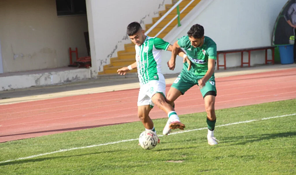BAL maçları 19-20 Aralık'ta başlıyor