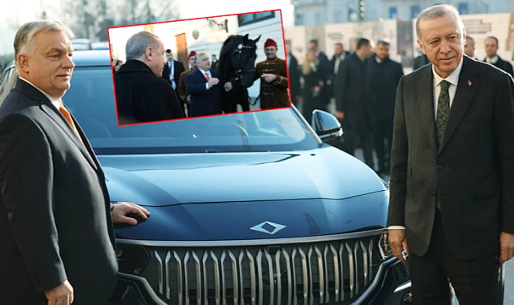 Cumhurbaşkanı Erdoğan'dan TOGG, Orban'dan at