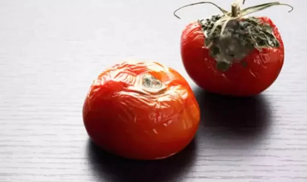 Domatesi bu şekilde yiyorsanız dikkat! Tam bir zehre dönüşüyor