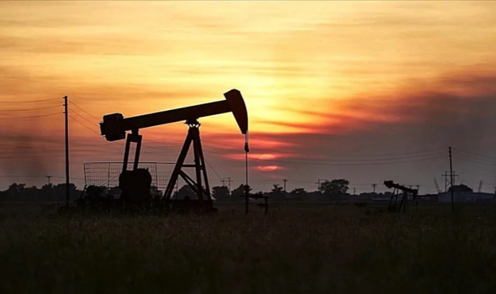 'Petrol 2024'te 100 dolara kadar yükselebilir'