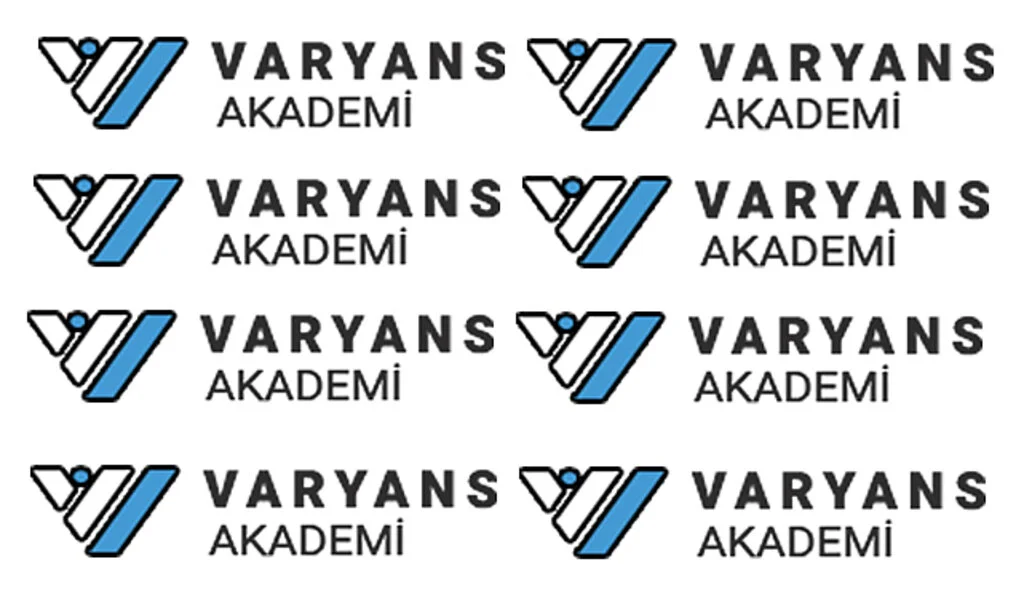 Profesyonel Tez Yazdırma Hizmeti Varyans Akademi