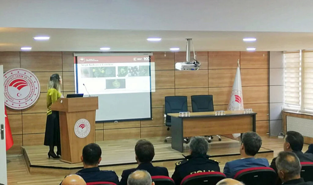 Samsun 19 Mayıs'ta kahverengi kokarca böceği zararlısı ile ilgili bilgilendirme toplantısı
