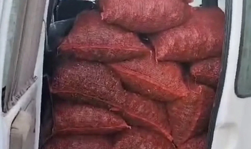 Samsun'da kaçak 20 çuval kara kıllı midye ele geçirildi
