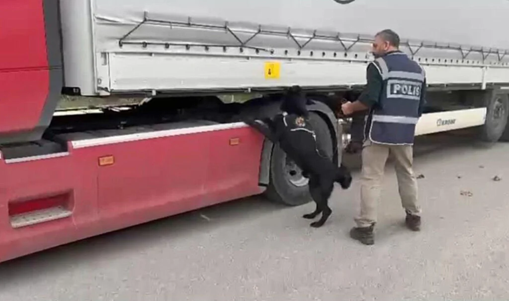 Samsun'da tırda 3 kilo 950 gram skunk ele geçirildi