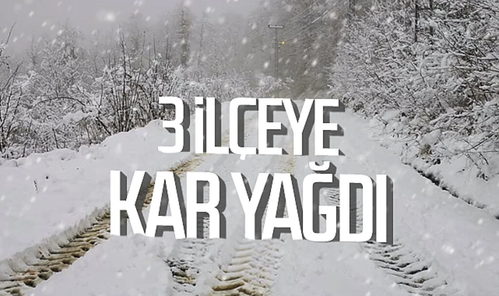 Samsun'un 3 ilçesine kar yağdı