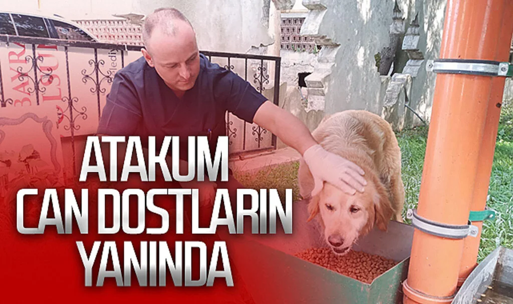 Atakum Belediyesi can dostların yanında