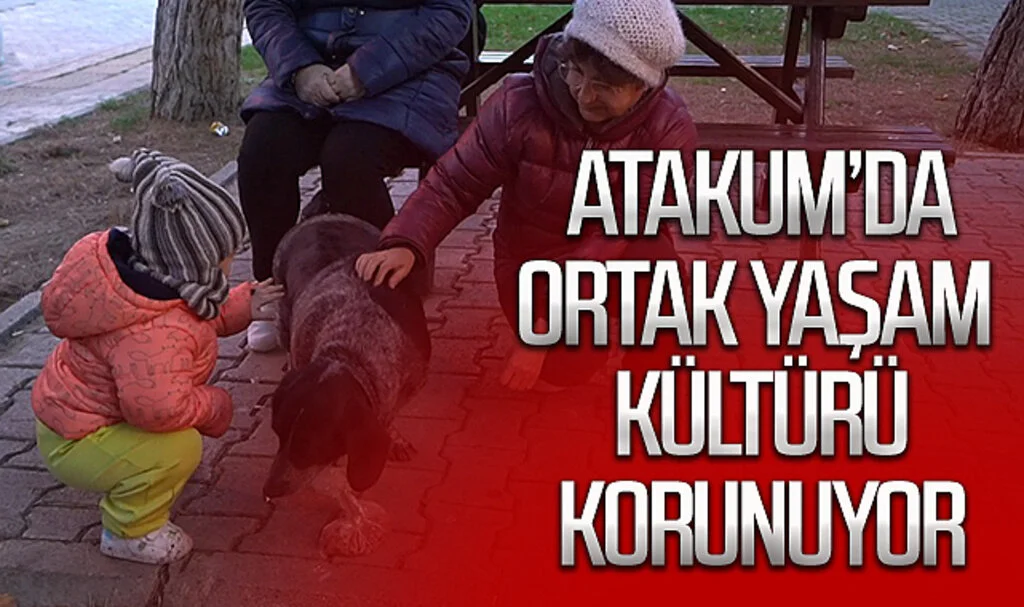 Atakum Belediyesi'nde görevli Veteriner Hekim Ali Kılıç: "Ortak yaşam kültürünü korumayı sürdürüyoruz"