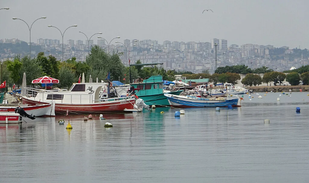 Balıkçılara gemilerinin boy uzunluğuna göre destek ödemesi yapılacak