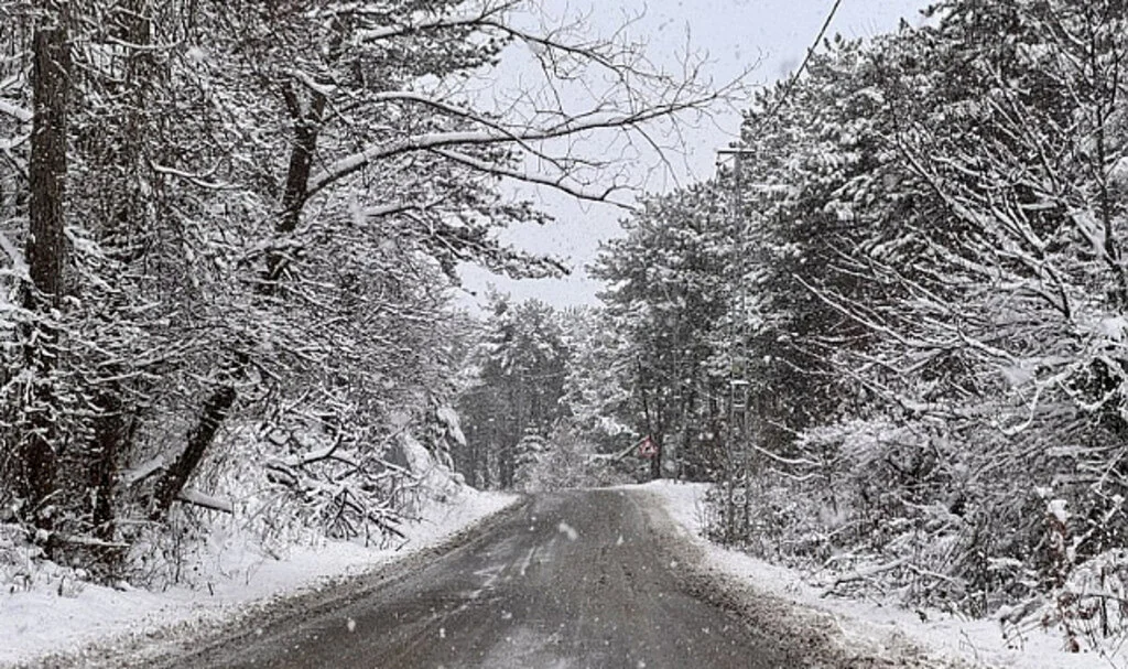 Kastamonu'da kar yağışı etkili oluyor