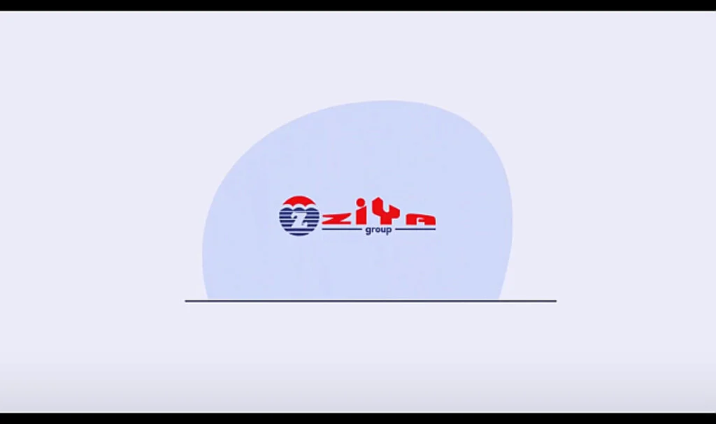 Profesyonel Tercüme Şirketi Ziya Tercüme