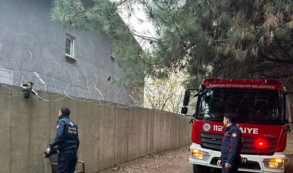 Samsun'da askeri alanda tellere takılan kediyi itfaiye ekipleri kurtardı