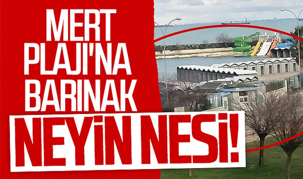 Samsun'da Mert Plajı'na barınak neyin nesi!