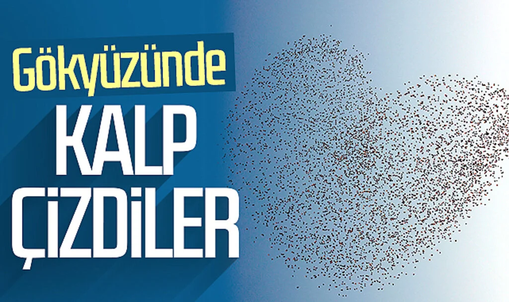 Samsun'da sığırcık güzelliği: Gökyüzünde kalp çizdiler