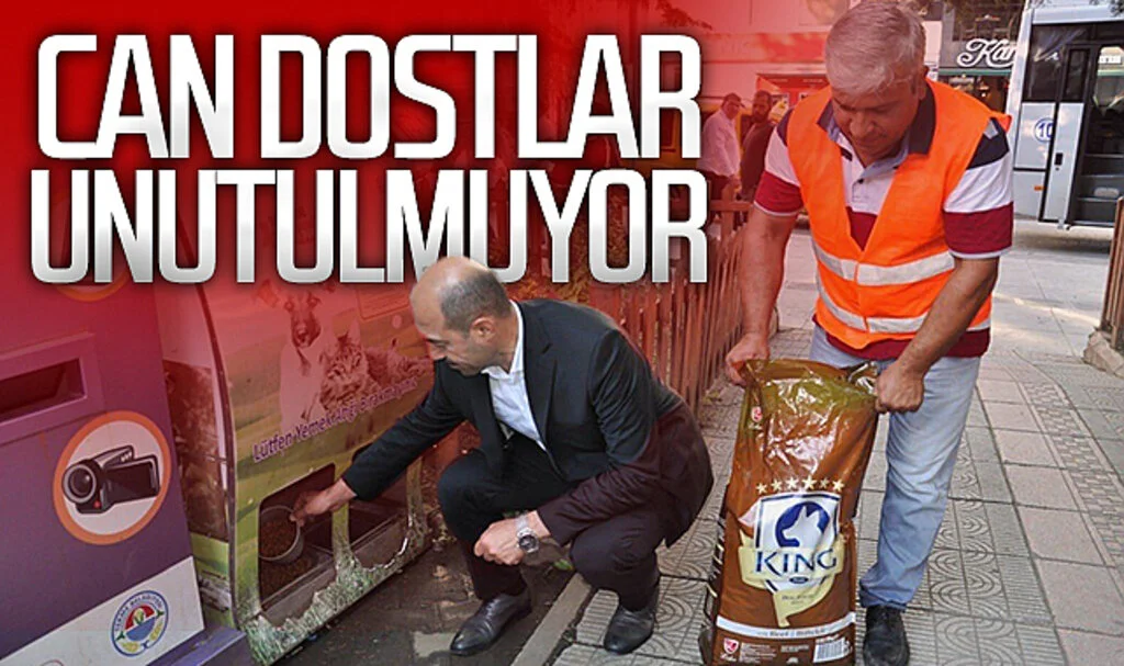Terme Belediye Başkanı Ali Kılıç: "Can dostlarımızı unutmuyoruz"