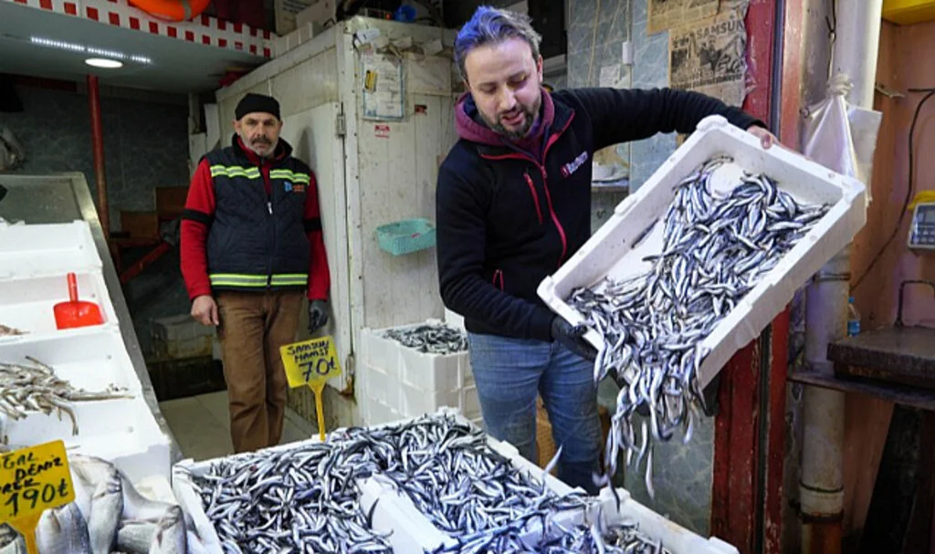 Vatandaşlar hamsiyi alırken fiyatına değil boyuna bakıyor