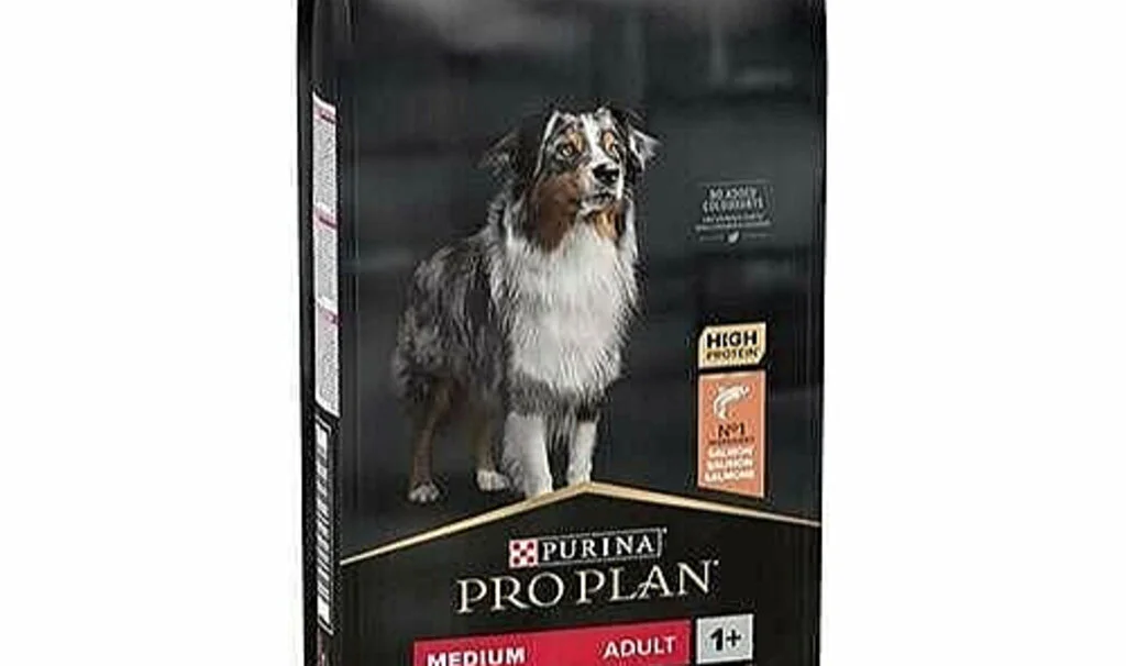 Yetişkin Köpek Maması